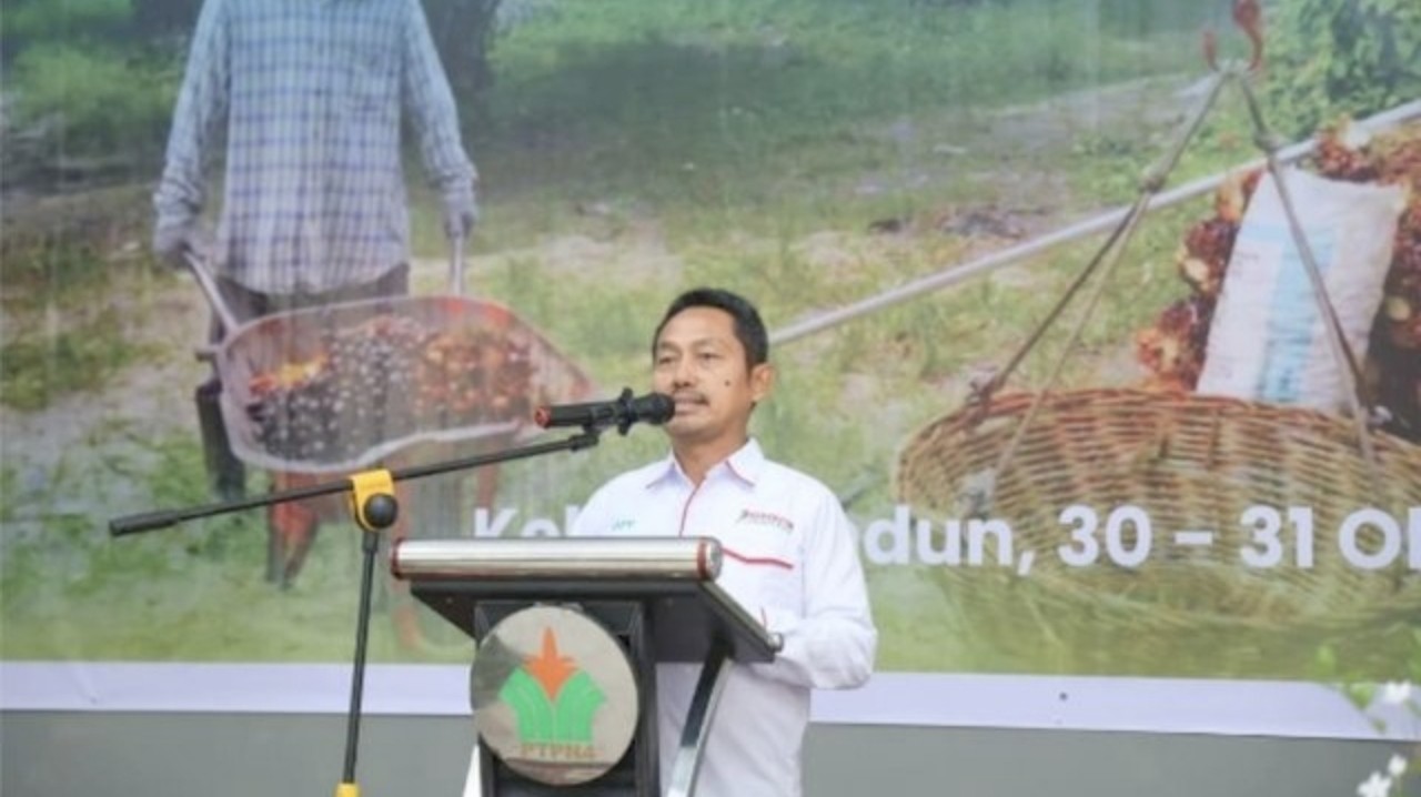 Asosiasi Petani Apresiasi PalmCo Perbaiki Tata Kelola Kemitraan Sawit