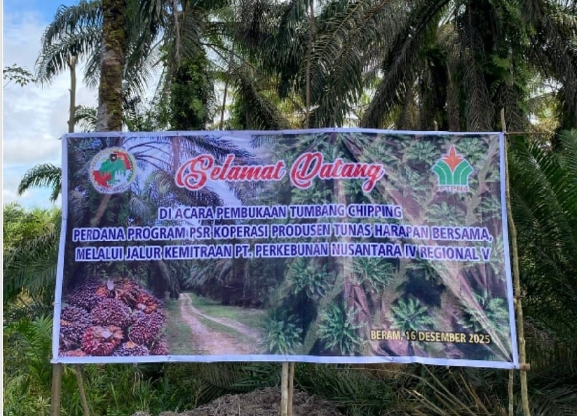 Dorong Keberlanjutan Sawit Rakyat, Holding Perkebunan Nusantara Melalui PTPN IV Regional V Kawal PSR
