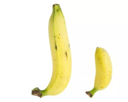 Pengobatan Alat Vital Lampung dan Cara Membesarkan Secara Alami