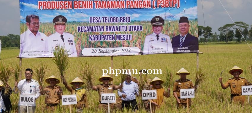 Penjabat Bupati Mesuji Sulpakar Melakukan Panen Raya Padi Musim Tanam Gadu Tahun 2022