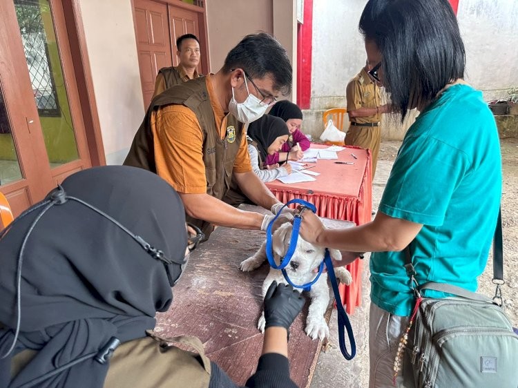 Pemkot Bandar Lampung Sudah Vaksin 150 Hewan Penular, masih nol kasus rabies