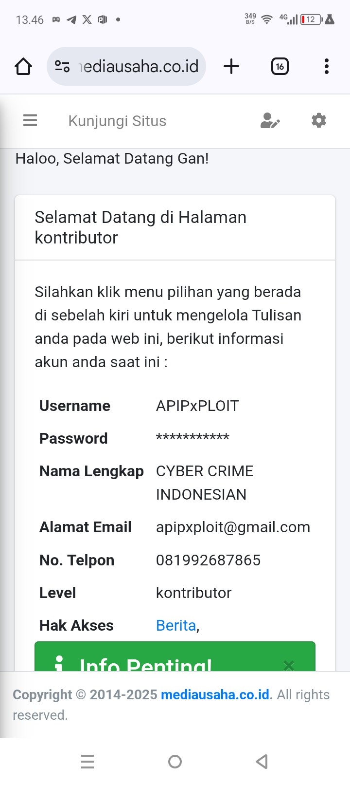 APIPxPLOIT